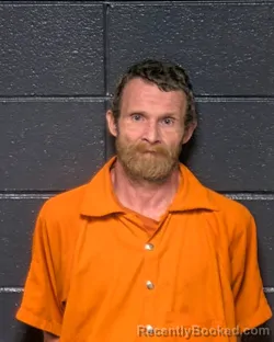 Mugshot of Bruce Lee Vines booked in DeSoto County, Louisiana on October 8, 2026