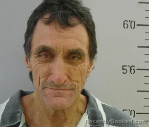 Mugshot of DAVID L LITTON booked in Grant County, Louisiana on June 11, 2026
