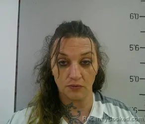 Mugshot of JULIA NICOLE TODD
