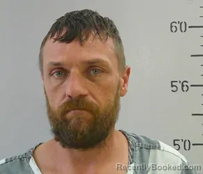 Mugshot of BRAD ALDEN MARLER