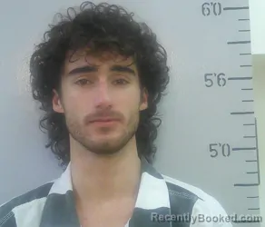 Mugshot of RAY LOUIS MELERINE