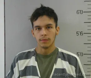 Mugshot of ENRIQUE MOISES ROSAS