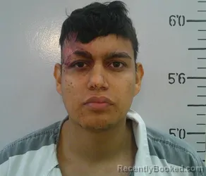 Mugshot of GUSTAVO MENDOZA  ALVAREZ booked in Grant County, Louisiana on June 14, 2026