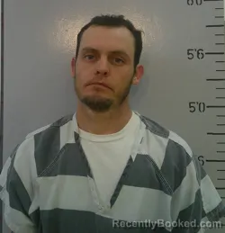 Mugshot of BARRY HOLLIS WHITE