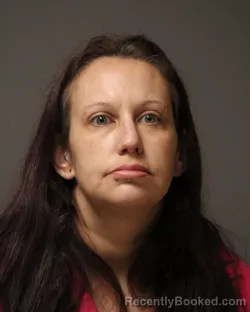 Mugshot of AMANDA ANN HARRIS