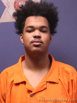 Mugshot of MICHAEL JEROME LEWIS