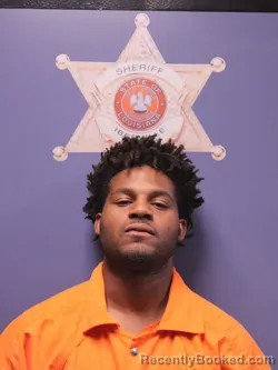 Mugshot of LOUIS CHRISTOPHER DEROSIN