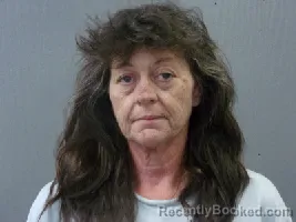 Mugshot of REGINA DAWN POLK