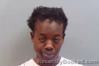 Mugshot of REBECCA NELSON