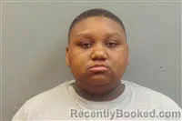 Mugshot of Sanajia Lashea Holland booked in Chesterfield County, South Carolina on October 17, 2026