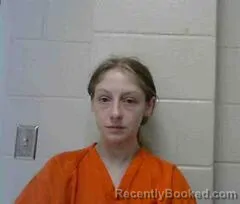 Mugshot of MARIDITH J HENDRICKSON