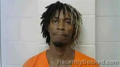 Mugshot of TEVION L WILLIAMS