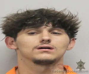 Mugshot of MICHA J BADON