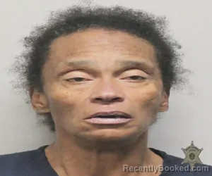 Mugshot of YOLANDA HUTCHINSON