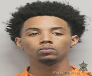 Mugshot of JAYCE J HAYES