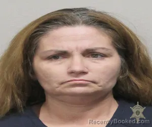 Mugshot of NIKKI VIDRINE