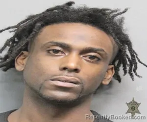 Mugshot of TERRANCE DECARLO BABIN