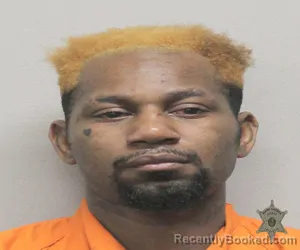 Mugshot of DAMIEN LANE