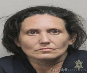 Mugshot of CHRISTY ELIZABETH BROWN