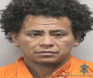 Mugshot of DANIEL WILMER MEDINA