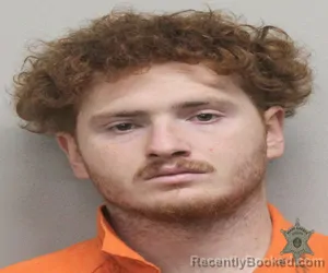 Mugshot of LEE JEFFERS