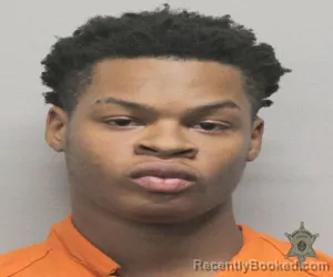 Mugshot of MASON WILLIAMS