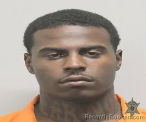 Mugshot of NELSON WILTZ