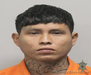 Booking photo from Lafayette Parrish, Louisiana