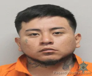 Booking photo from Lafayette Parrish, Louisiana