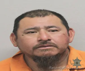 Mugshot of RENE ALVAREZ