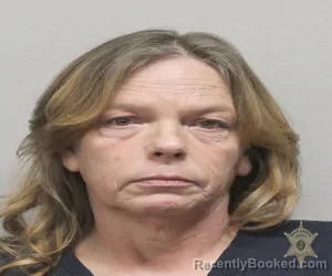 Mugshot of SUSAN JOHNSON