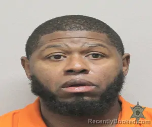 Mugshot of LIONEL D FRANCIS