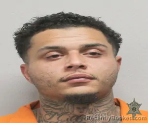 Mugshot of JAMIE LAQUINN NED