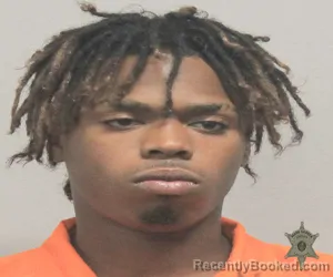 Mugshot of COURTNEY MARTIN