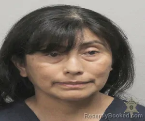 Mugshot of MARILUZ ARAINGA