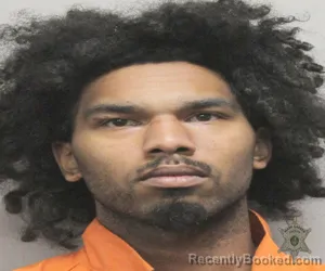 Mugshot of TAVIS JAMEL JACKSON