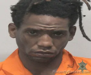 Mugshot of SHANNON HANDY