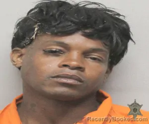 Mugshot of WILLIAM FLOYD JENKINS booked in Lafayette County, Louisiana on March 17, 2026