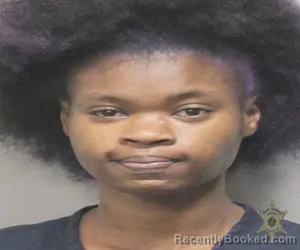 Mugshot of BRANDI FRANCIS booked in Lafayette County, Louisiana on March 27, 2026