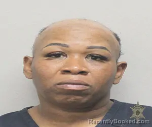 Mugshot of TAMIKA JAMES MINGO booked in Lafayette County, Louisiana on April 5, 2026