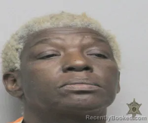 Mugshot of JOSILLA ANN SYLVESTER booked in Lafayette County, Louisiana on April 28, 2026