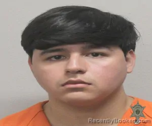 Mugshot of YAHEL DELGADO booked in Lafayette County, Louisiana on April 28, 2026