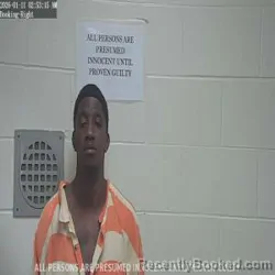 Mugshot of BRIAN OKEITH BRANTLEY