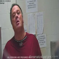 Mugshot of JOHNNY W MCCLENDON