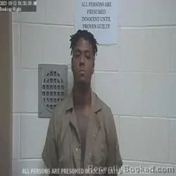 Mugshot of JARVIS ARNEAS LOGAN