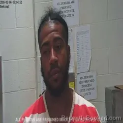 Mugshot of BARRY LEJOHN BOATNER