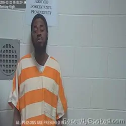 Mugshot of CHRISTOPHER DEANDRA FLOWERS