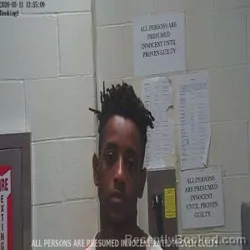 Mugshot of JAVAUIER ANTRAVIOUS STERLING