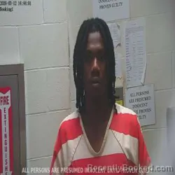 Mugshot of D'SHEDRICK A GREEN