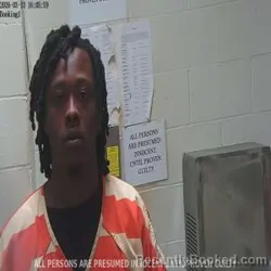 Mugshot of D'MARION DUDLEY